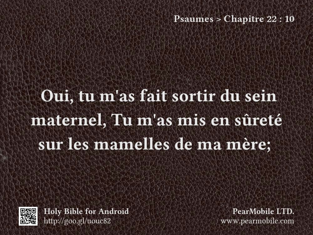 Psaumes, Chapitre 22:10